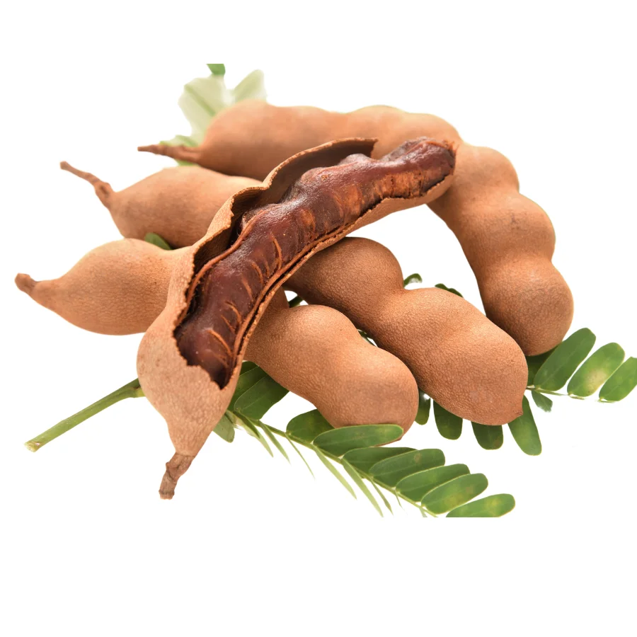 New Arrival 2022 High Quality Fresh Fruits From Viet Nam Fresh Tamarind Factory Price