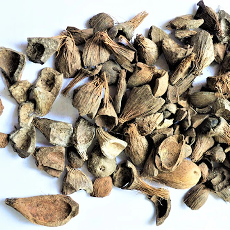 Palm Kernel Shell Dry PKS Indonesia Palm Oil for Alternative Fuel and Biomass Raw Material in Bulk Packaging Sack 25Kg