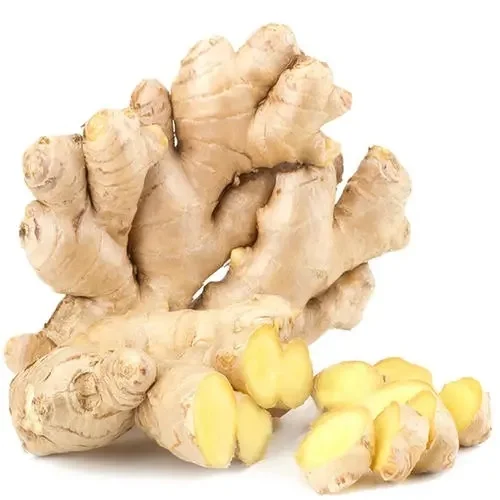 High quality fresh Ginger exporters wholesale price available.