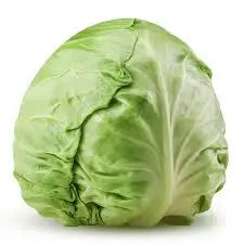 New Crop Fresh green cabbage From Vietnam Wholesale price fast delivery
