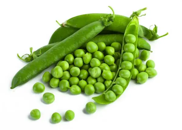 Top Selling Vegetable Green peas From India Exporters