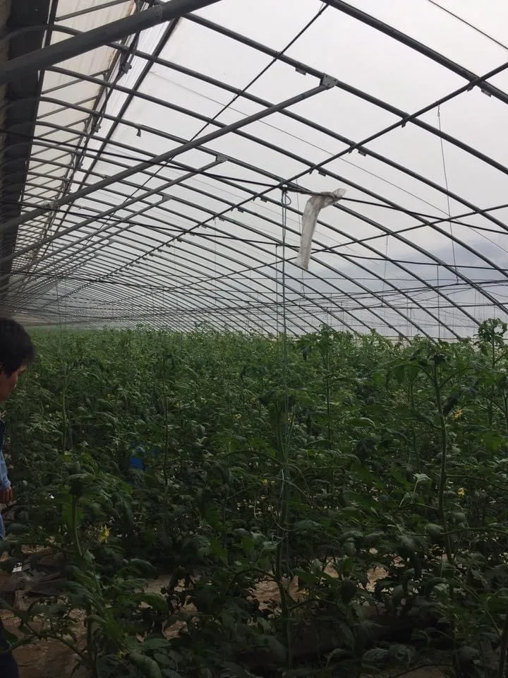 Best Seller COCO PEAT Block 5Kg Bales High Quality 100% Natural Not Washed Coconut Peat Prices Manufacturer Organic