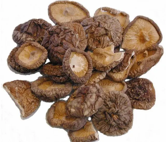Shiitake Mushroom