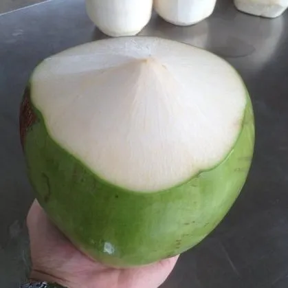 Premium Grade Green Husked Coconut 100% Organic from Farms in Ben Tre, Vietnam (WhatsApp: +84 366 808 6831)