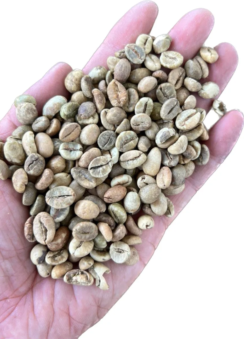 Вьетнамский КОФЕ ROBUSTA/WA 0084 848