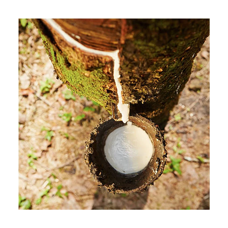 Premium Grade Thailand Origin Natural Latex Low Ammonia Suitable for Rubber Bands and Balloons Manufacturer