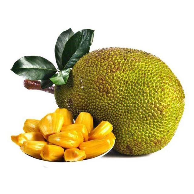 GRADE A JACKFRUIT FROM VIETNAM BEST QUALITY 100% NATURAL FRESH