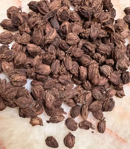 Dried Black Cardamom Seeds for Sale Good Quality Factory Price Indian Single Herbs & Spices,single Herbs & Spices Elongated