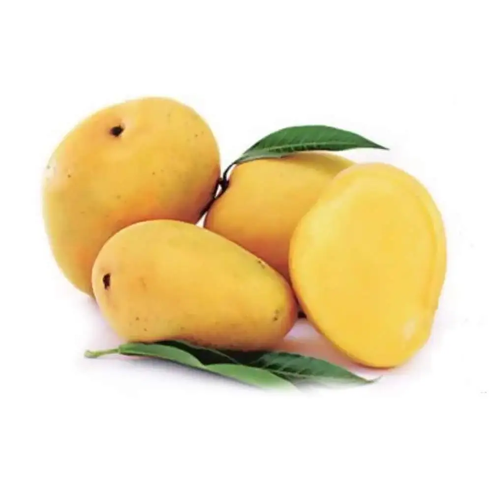 Fresh Mango Best Grade Fruit Best Taste Organic Mango Fresh Wholesale in High Quality 100% Premium Fresh Mango Wholesale Fresh