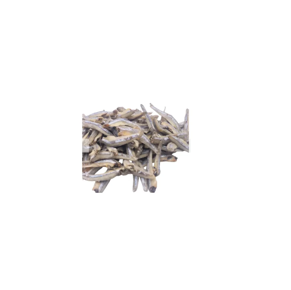 whole no salt horse mackerel fish frozen for sale dried mackerel fish frozen jack mackerel trachurus symmetricus supplier horse