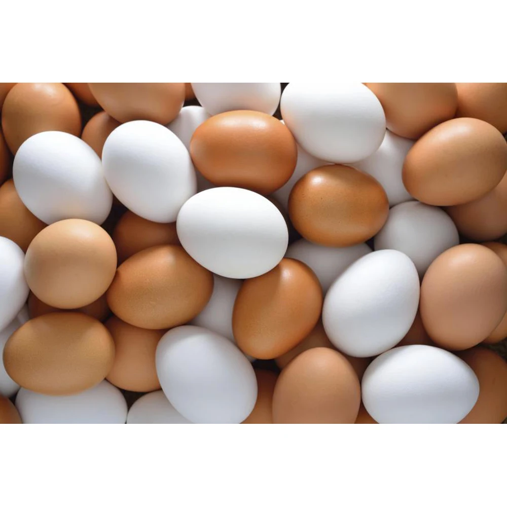 Top Quality 100% Fresh Table & White Table Eggs Brown / White Food Chicken
