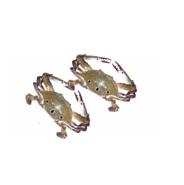 Top Quality Fresh / Frozen Sea Crab Water at Cheap Price
