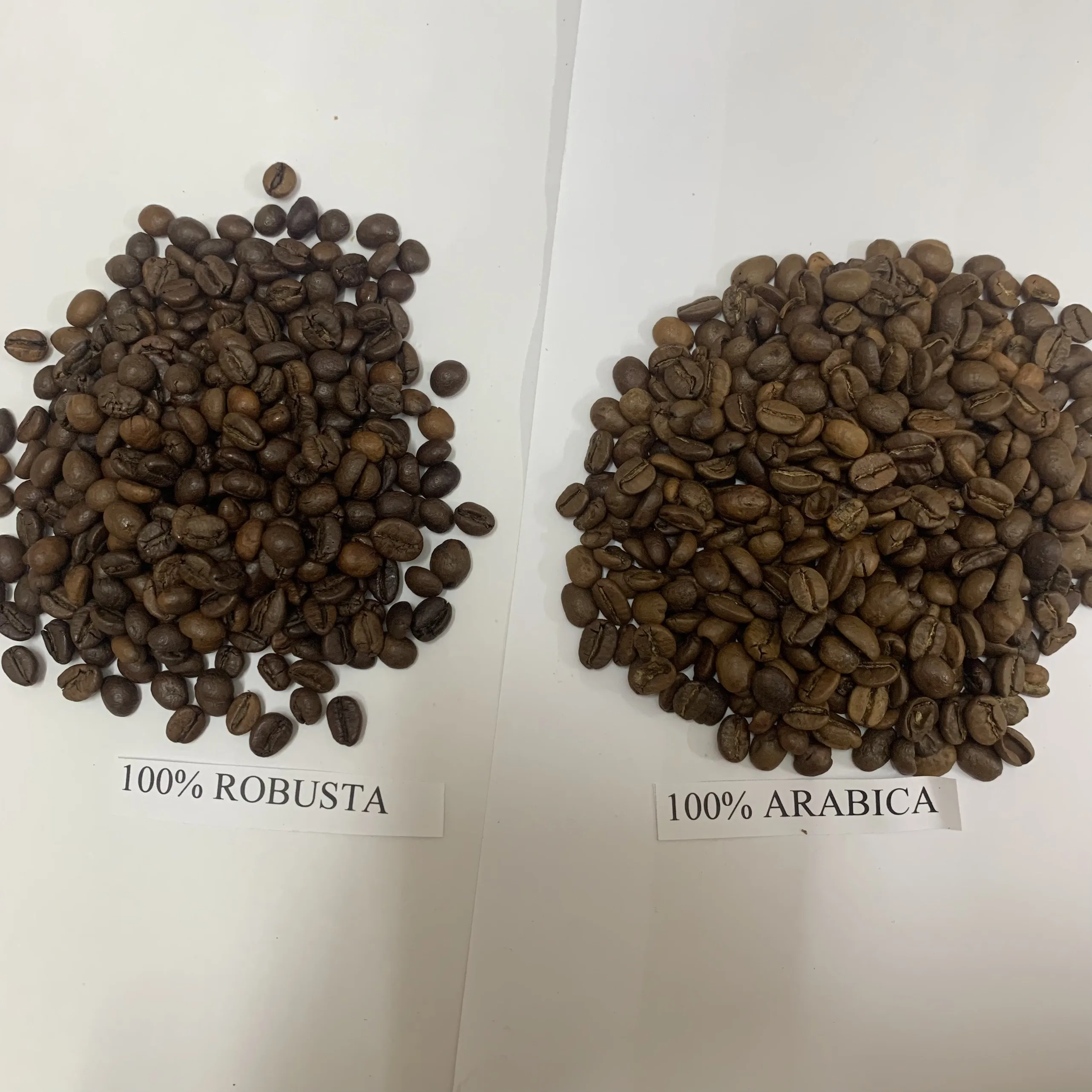 Premium Quality Roasted Whole Bean Arabica Washed Strong Good Taste Hot Selling Available in Bulk whstsapp +84 326055616