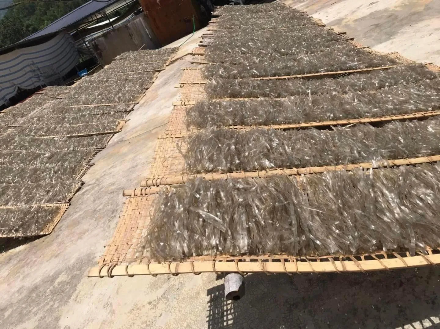 Rice Vermicelli Hot Pot Food Dried Noodles Non  Gluten Free Pea Dried Crystal Glass Noodles Vermicelli