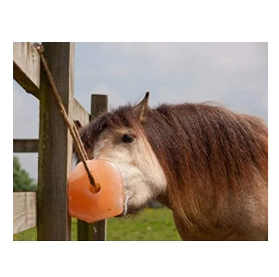 Animal Licking Himalayan Pink Sal Natural Pure Salt Block on Rope for Horses Deer Cattle Rabbits Himalayan edible salt