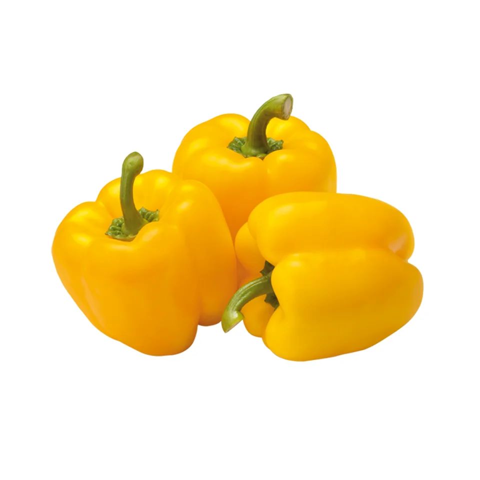 IQF Frozen Vegetable Yellow Red Green Frozen Bell Pepper Origin Viet Nam with Cheapest price and Customized logo