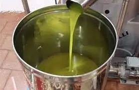 images (1) - Copy.jpg