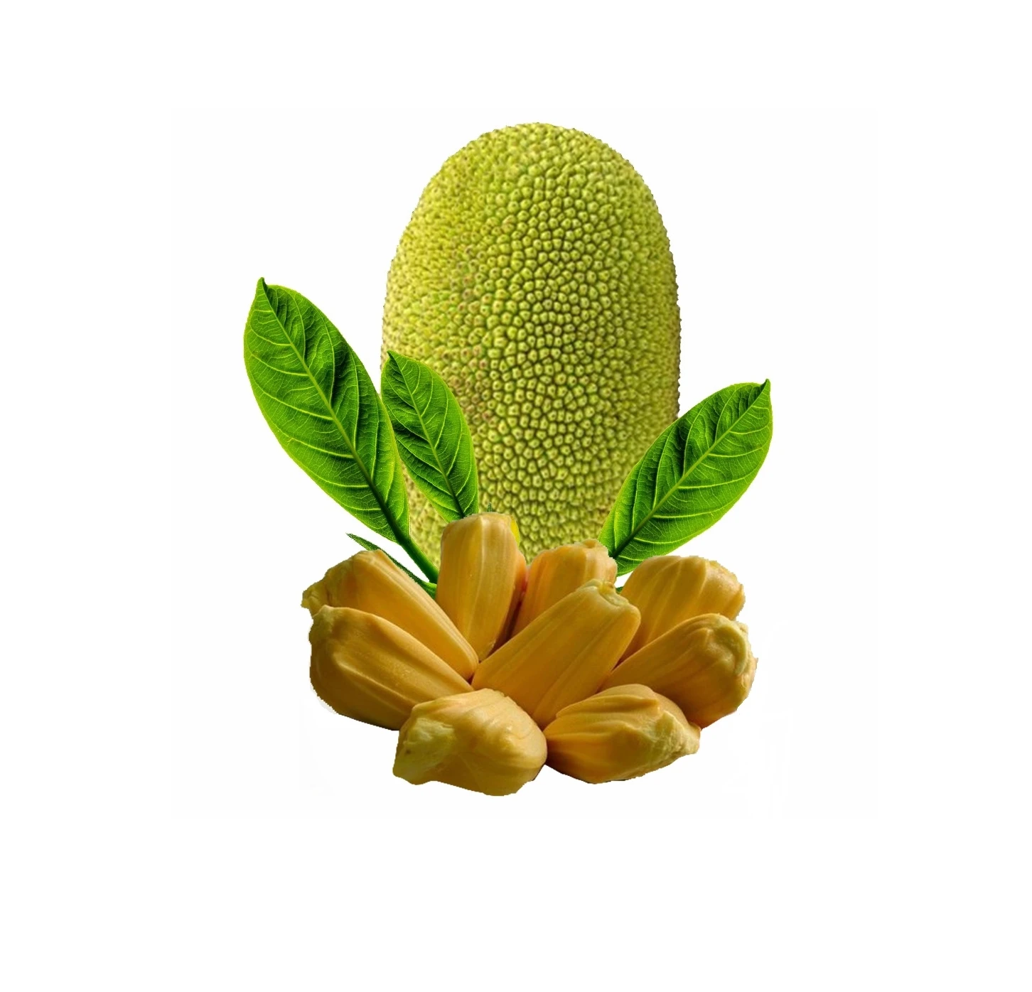 International Standards Tropical Fruit Sweet Taste Fresh Jackfruit 100% Organic Natural Yellow Color Good Price Ready To Ship