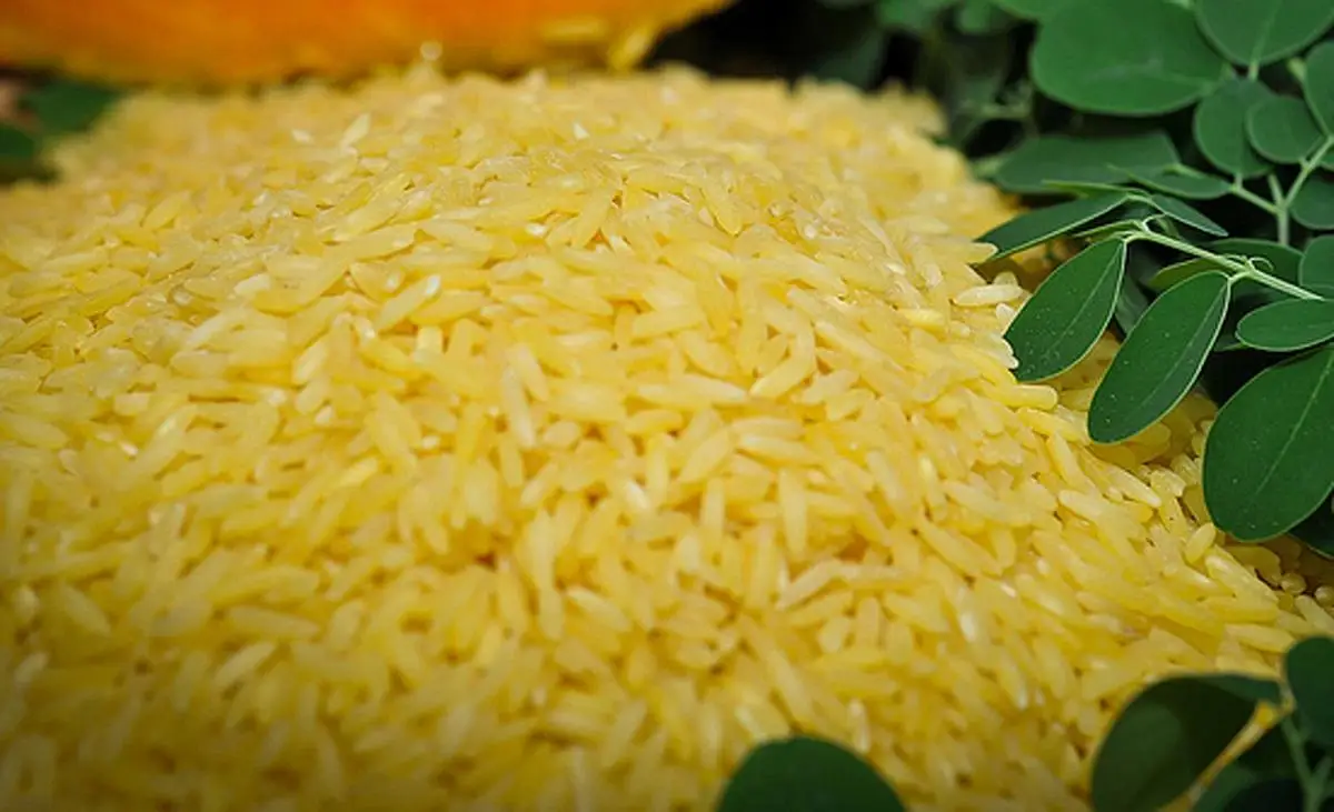 wholesale Hot Selling A Grade Basmati Golden color Long Jasmine Rice Premium Quality Rice for Business and Consumer Supply