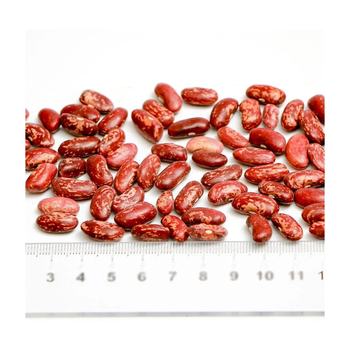 Высококачественная безгмо 100% натуральная фасоль (60/70 класса) из Узбекистана, красная зернистая фасоль для еды