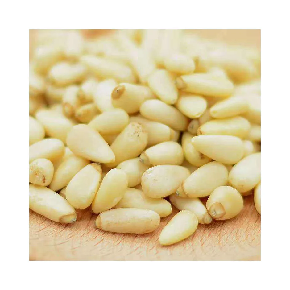 Good Quality Top Selling Pine Nuts Chilgoza Available In Custom Packing