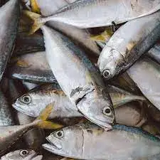 Wholesale Price Frozen Fish Supplier Cod Hake Fish Fillet Fresh Fish Frozen
