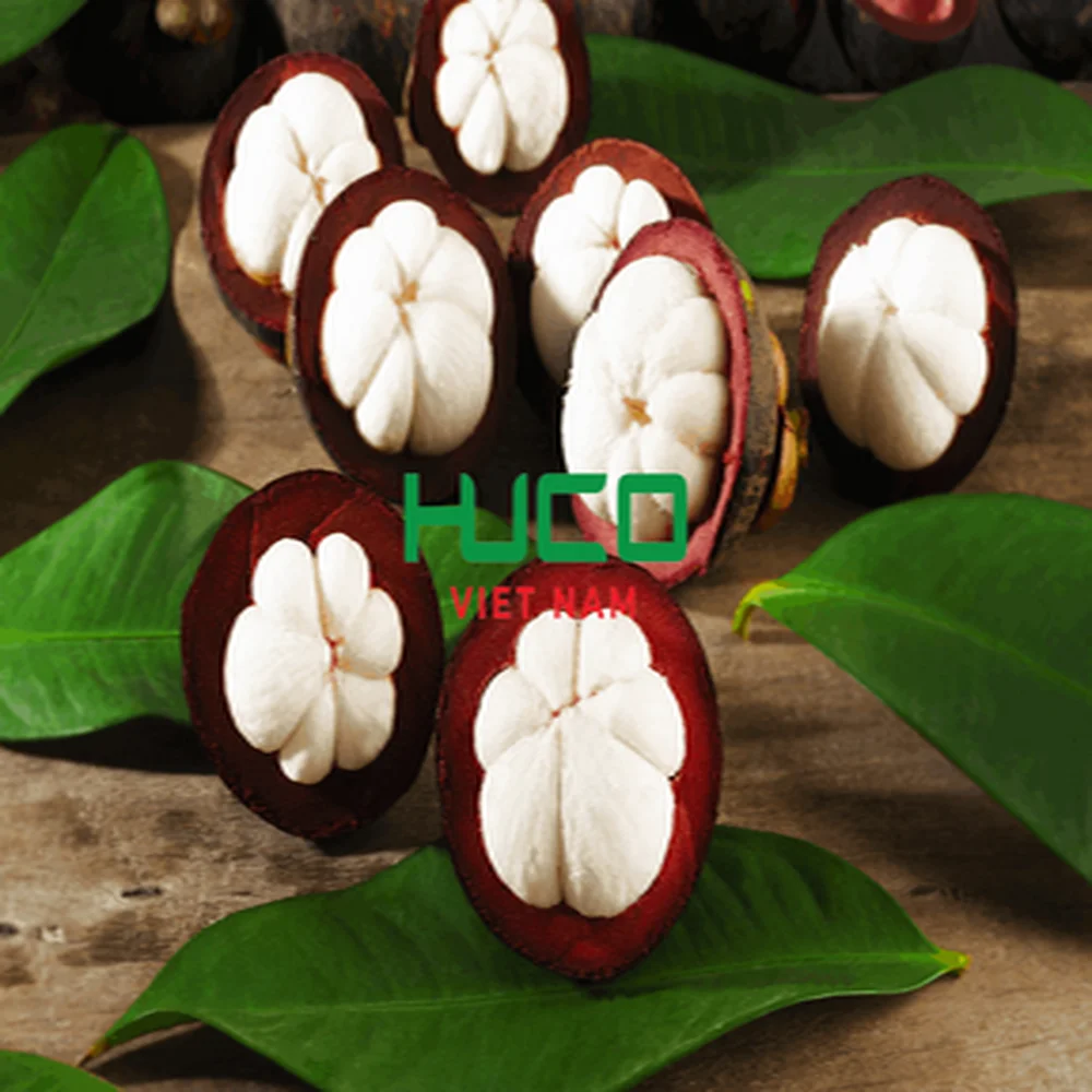 Highest Selling Products Fruit CHEAP PRICE MANGOSTEEN FRUIT from VIETNAM