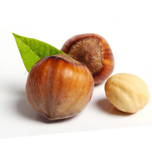 Blanched Hazelnuts/ Hazelnuts Inshell & Kernels/ Organic Hazel Nuts Wholesale Supplier Hazelnuts For Sale In Cheap Price