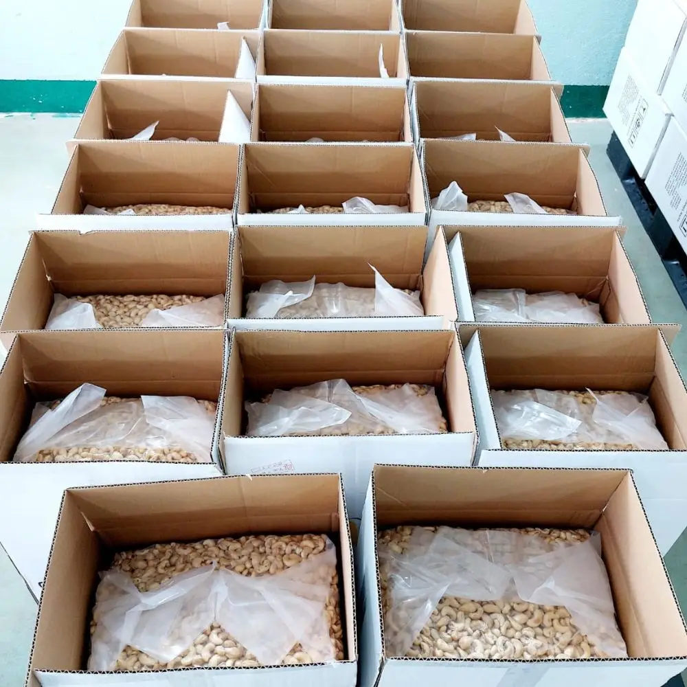 High Quality Raw Cashew Nuts Cashew Nuts Import Cashew Nuts From Vietnam Customized Packaging