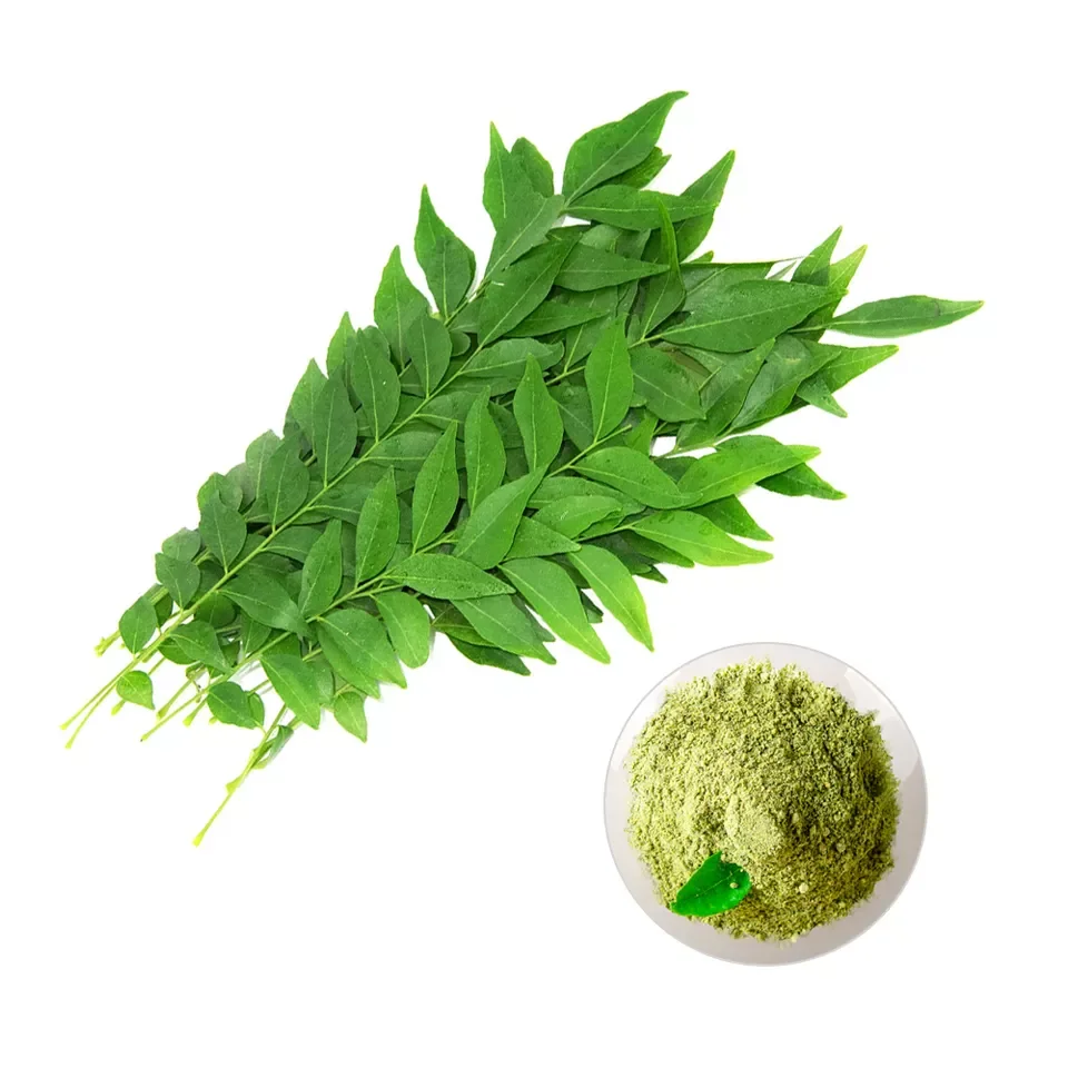 Best Quality for Dehydrated Vegetable Curry Powder for Cooking Flavour Available Customized Jars at Bulk Price for Export