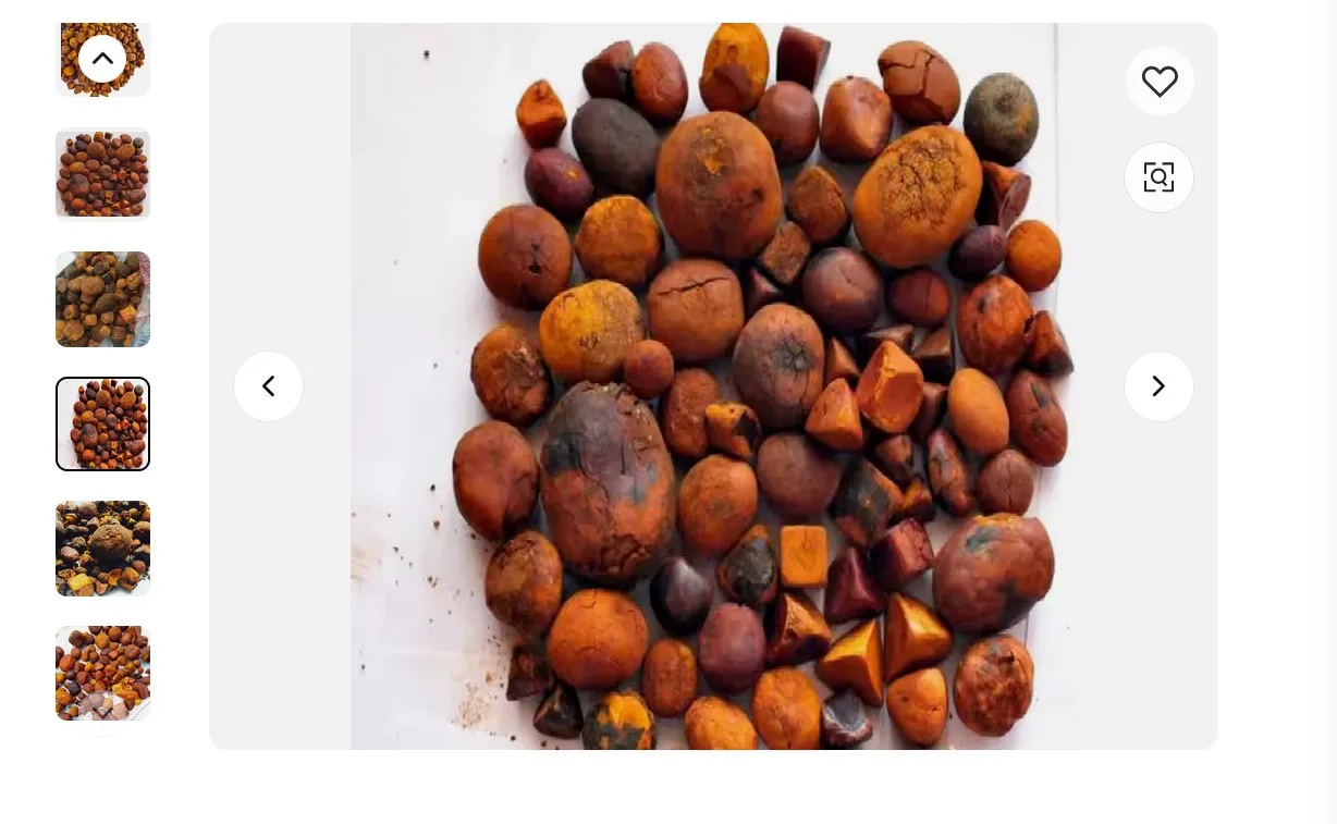 Quality dried Cow Ox Gallstones | Cattle Gallstones| Cow Gallstones and Bezoar