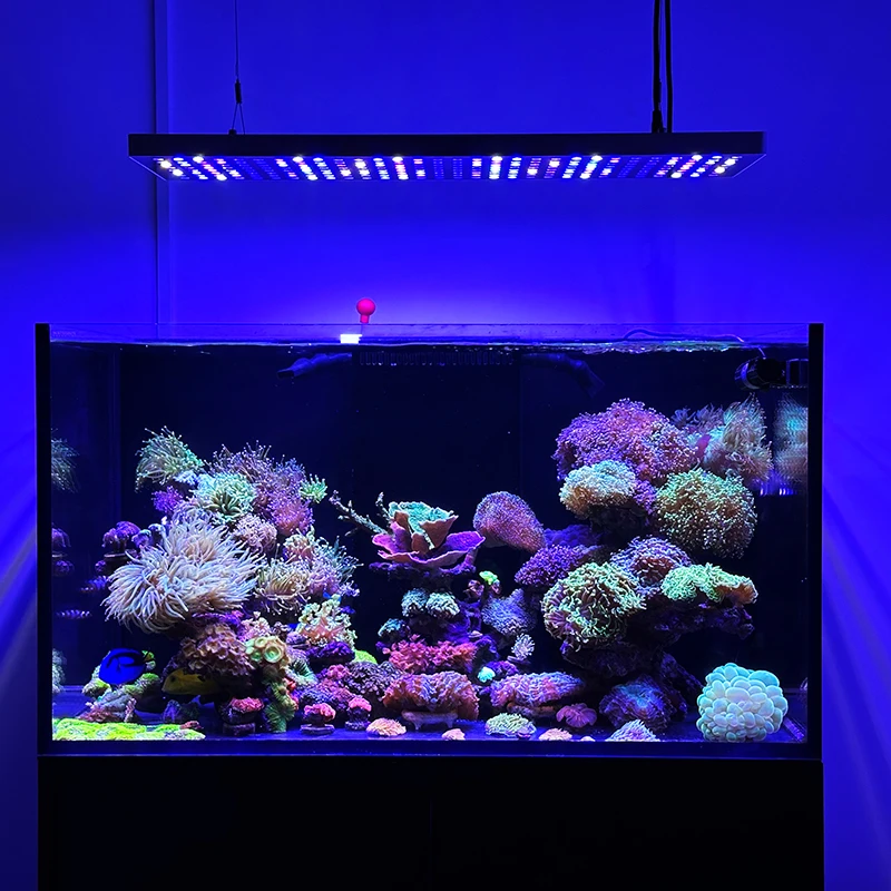UV Full Spectrum Reef Aquarium Lighting 240W 360W Marine Light Smart App Control Lamp
