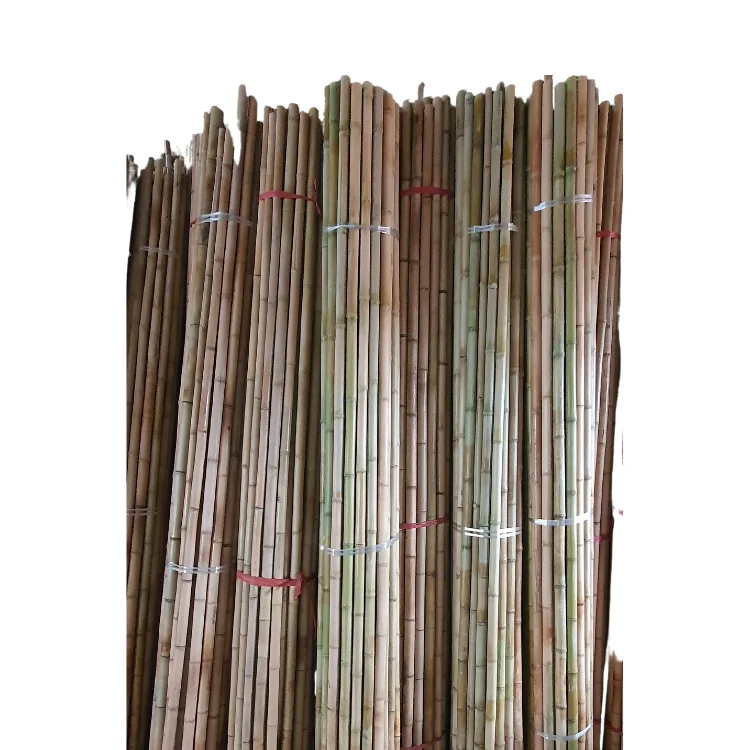 Cane Bamboo Pole for Plant Raw Materials Bamboo Sale Viet FOA Flower Hot Time Garden Support Feature Origin Cutting