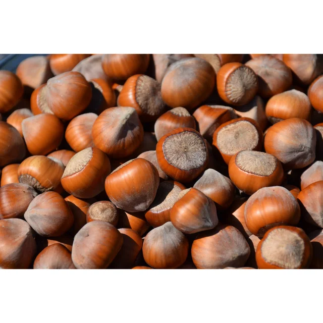 Suppliers Roasted Hazelnut Pealed Raw Dry Hazelnuts Sale Chinese Bag OEM Shell Box Style Packaging FOOD Organic Color Package