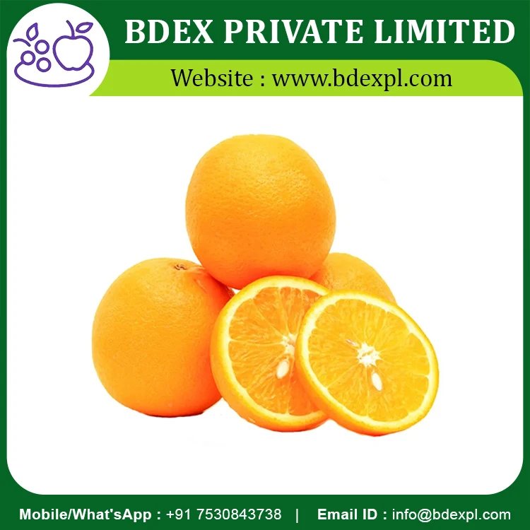 Latest Collection Fresh Sweet Orange From Indian Exporter
