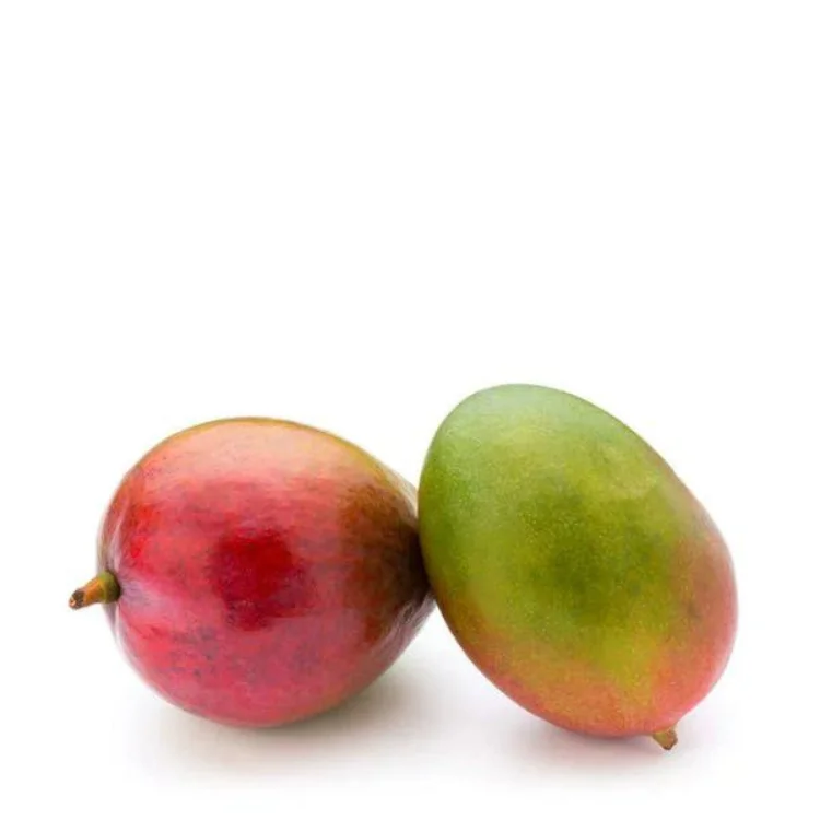 Ecuador Origin Dealer Selling Premium Quality Fresh Kent Mangoes for Wholesale Purchasers