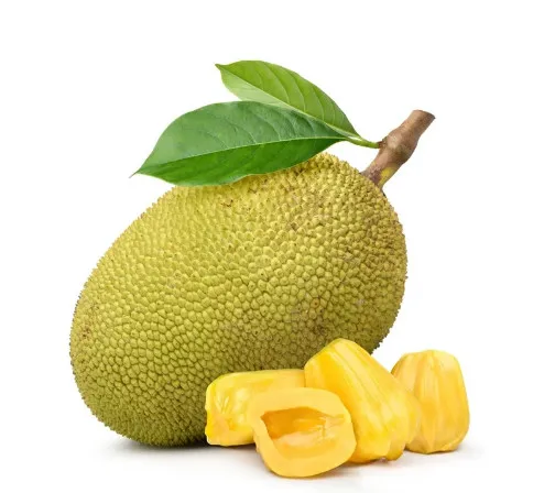 Wholesale Good Price Organic Fresh Thai Jackfruit 100% High Quality Fresh Fruit From Viet Nam 2023