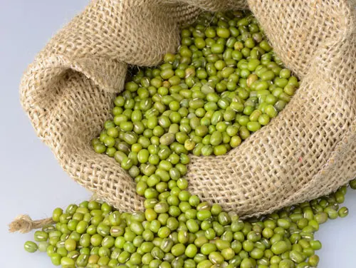 Green Mung Beans/ Green Mung Bean Latest Crop Supply