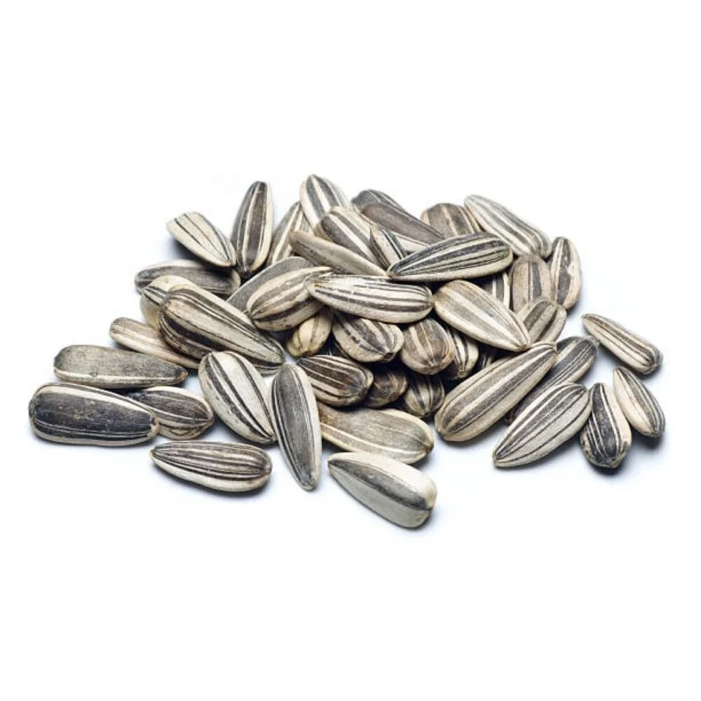 High Quality Sunflower seed for sale