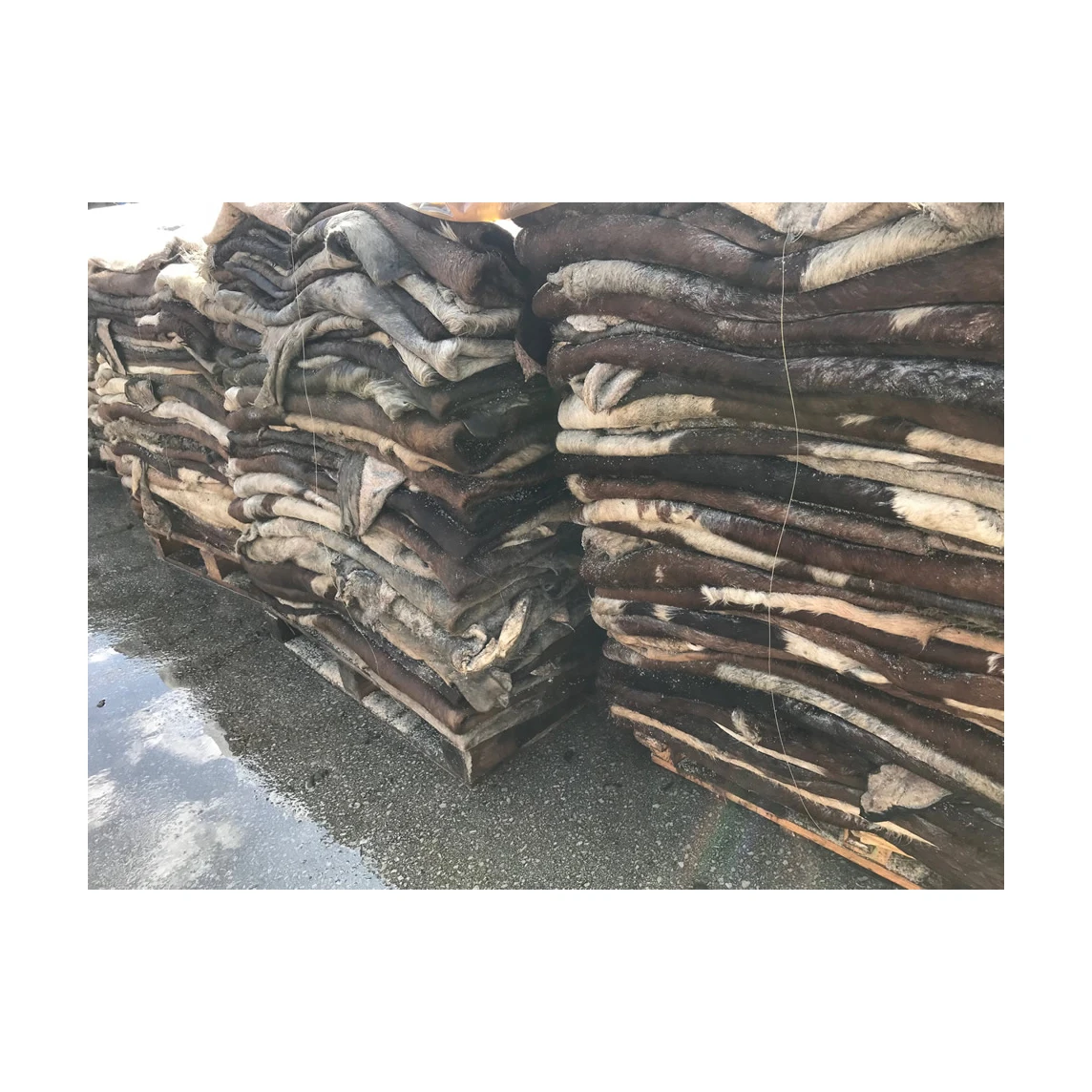 Wholesale supply natural cow skins with hair on cowhide natural large cow hide cow skin