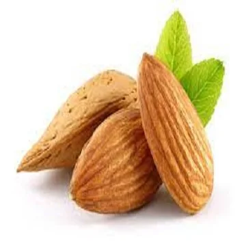bulk almond wholesale price for almond nuts