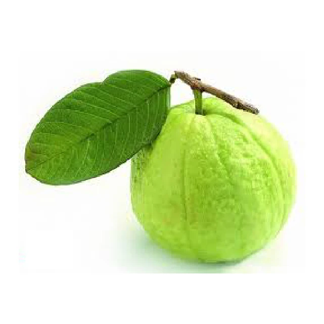 Whosale Premium Quality Fresh Guava Cheap From Viet Nam
