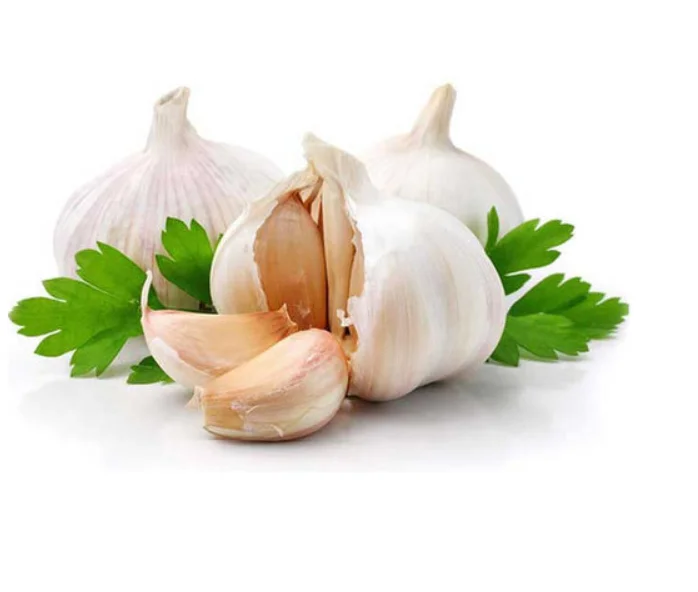 New crop fresh normal white garlic