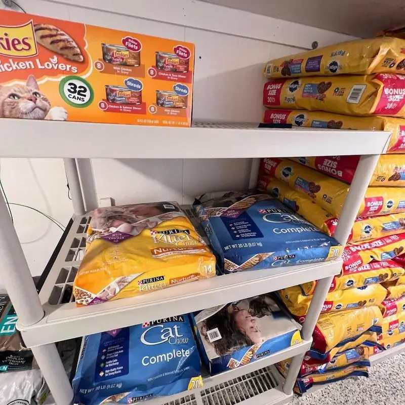 Healthy Wet Cat Food Brands 5.5 Oz Cans For Sale/ Buy Wet Cat Food In Bulk EU Variety Flavors / Cat Food Pouch