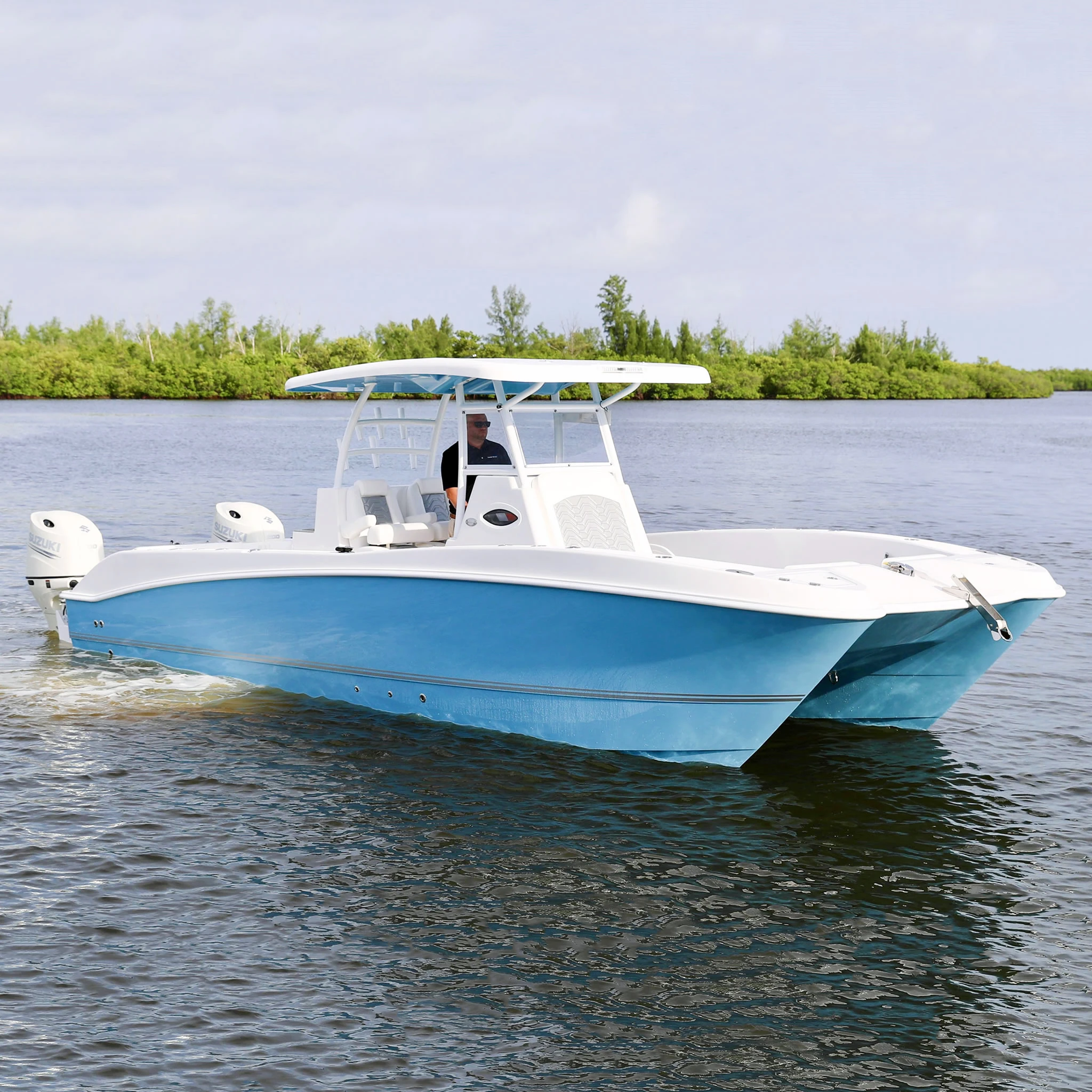 28ft Double Hull Catamaran Fishing Boat/ Cruising Yacht/ Barge Ship with High Speed for Business