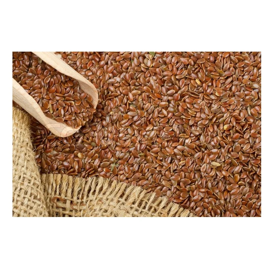 High-Quality Flax Seeds for Sale - Organic and Non-GMO