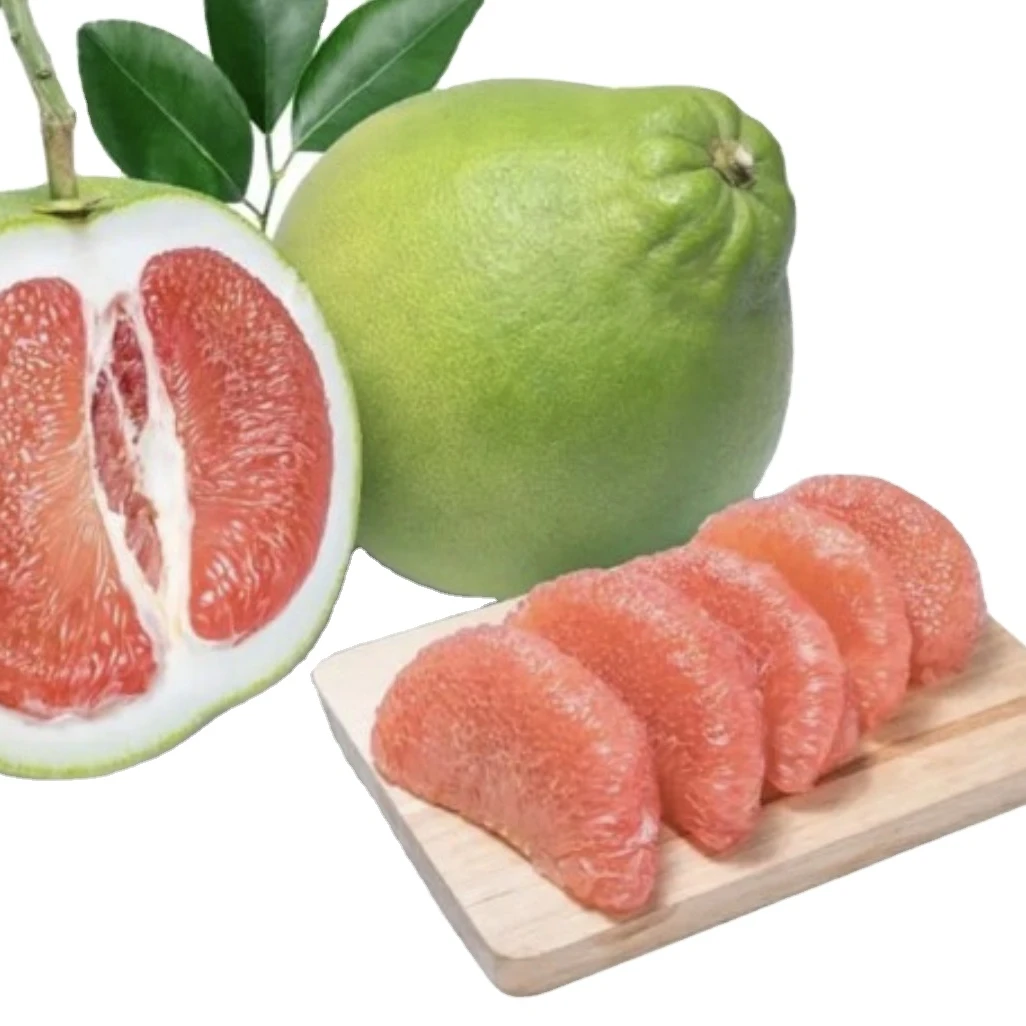 Fresh Fruit 1-1.8 kg/pcs Fresh Citrus Fruit Green skin pomelo grapefruit With pink flesh Brix 10 - 13% In Vietnam