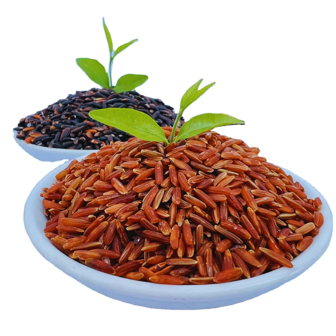 Wholesale Red Rice From Viet Nam Cheap Price New Crop Ready To Export Food Rich Nutrition Organic Rice High Quality