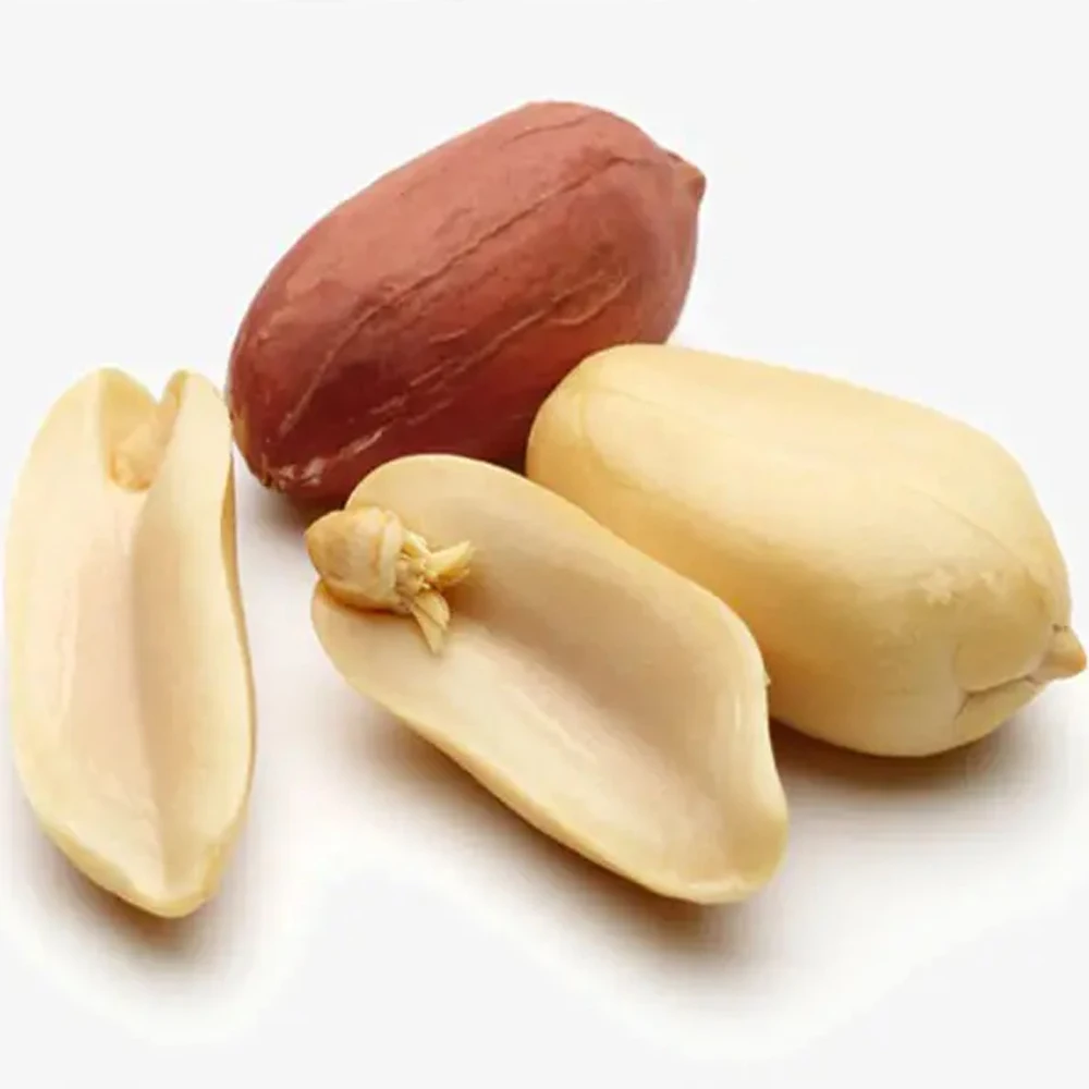 Wholesale Custom Guaranteed Quality Peanut Kernels Proper Price Raw Peanut Freshly Shelled Bulk Organic Peanuts