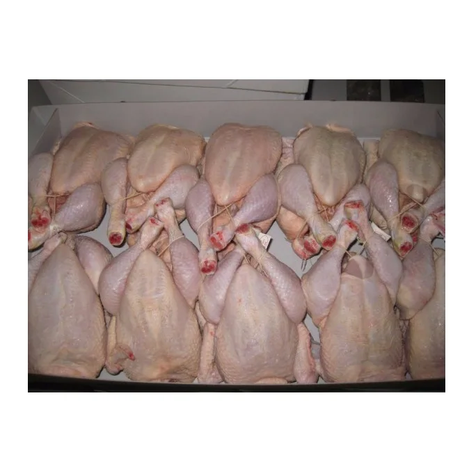 High Quality Wholesale Cheap Price Frozen IQF / BQF Whole Chicken For Sale